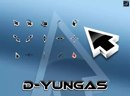 D-Yungas
