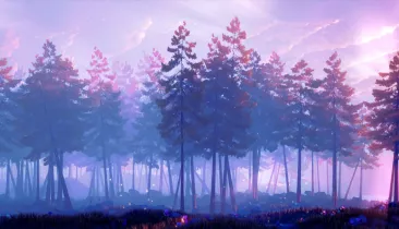 Aesthetic Pine Forest